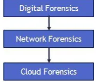 Fig 2: Hierarchy of Cloud Forensics 