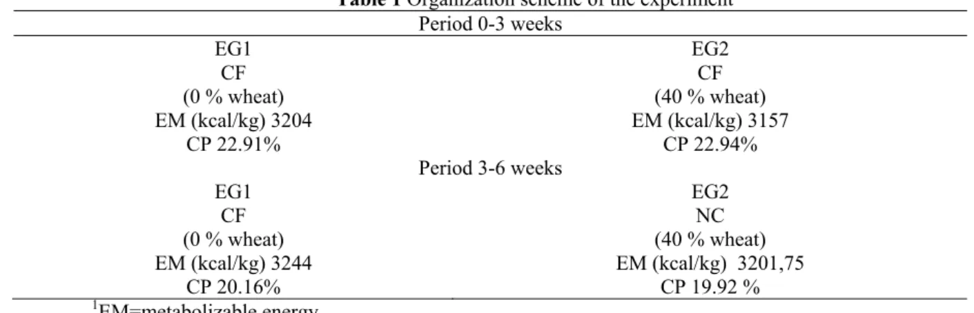 Table 1 Organization scheme of the experiment   Period 0-3 weeks   EG1 EG2  CF  (0 % wheat)  EM (kcal/kg) 3204  CP 22.91%  CF  (40 % wheat)  EM (kcal/kg) 3157 CP 22.94%  Period 3-6 weeks   EG1 EG2  CF   (0 % wheat)  EM (kcal/kg) 3244  CP 20.16%  NC  (40 % 