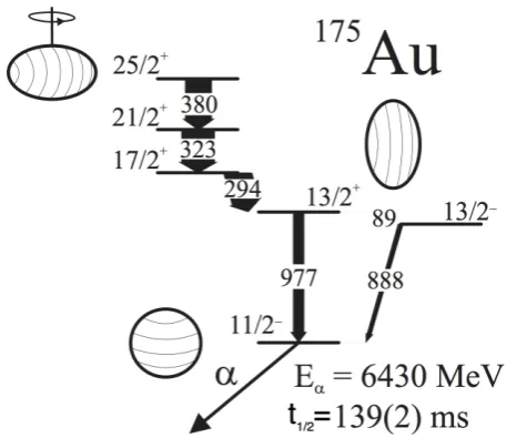 Table 1. Electromagnetic properties of the low-lying yrast transition in 175Au. The values aretaken from Ref