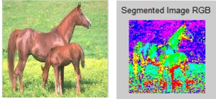 Fig 1. (a) Original Image Corel - 744      (b) Segmented in RGB  