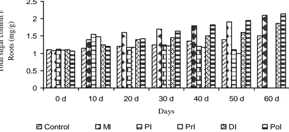 Fig. 4. Changes in amino acid content of tomato plants inoculated with G. fasciculatum and  F