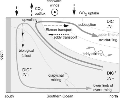 Fig. 1 A schematic depicting the meridional circulation and thecarbon cycle in the Southern Ocean