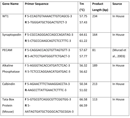 Table 4: Neonatal Kidney Explant Primers  