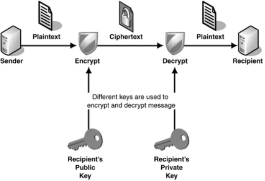 Figure 1. Structure of ransomware [4]. 