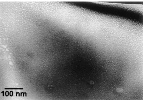 FIG. 11. Bubbles formed in simulated DWPF glass irradiated withg-rays to 1.3 3 107 Gy (micrograph courtesy of J