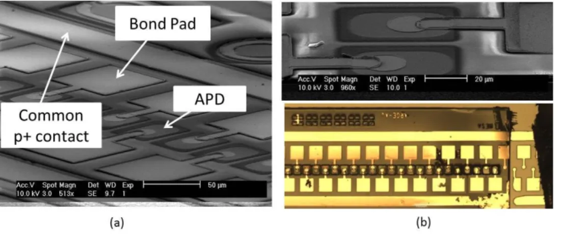 Fig. 1.  (a) SEM image of a section of the fabricated array, (b) magnified image of pixel and bond pad and an optical image of the array