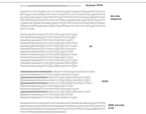 Figure 3 Primary sequence of alleleupstream of theitalics are the sequences of DNA that have been predicted to have the potential to form G4 DNA by Quadparser software, potential sites of 1 of PARK7 SVA identifying the different components