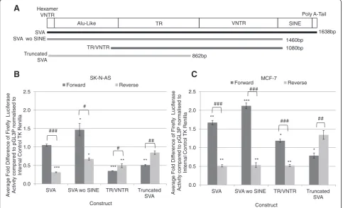 Table 2 Sequence analysis of the four alleles identified inthe PARK7 SVA