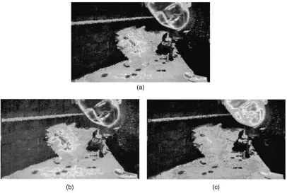 Fig. 11 Simulation results for grayscale operations. (a) Grayscale counterpart of original image