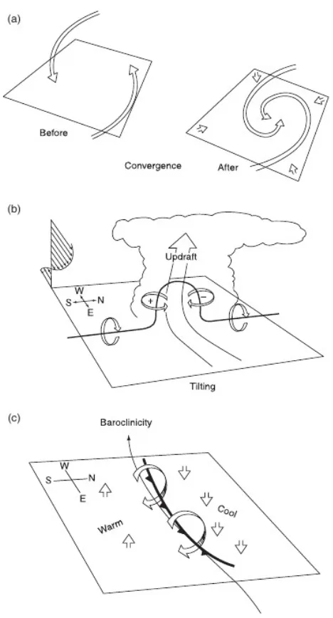 Figure 1.3: A schematic, adapted from Cotton et al.(2011), depicting the processesresponsible for vertical vorticity generation