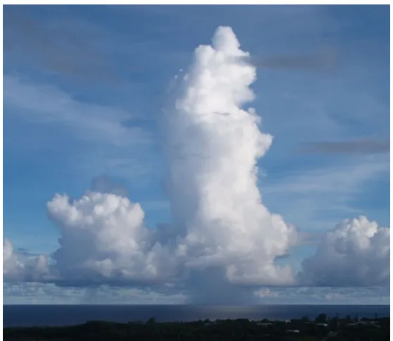 Figure 3.3.Figure 3.3: Photograph of a precipitating cumulus congestus cloud with little or no vertical