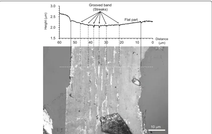 Fig. 2 Depth profile through the polished graphite with the CLSM image focused at a certain depth