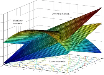 Fig. 3.4 Feasible region and objective function in process synthesis problem. 