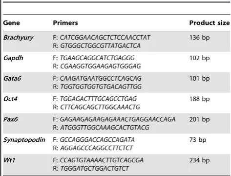 Table 2. Primary and secondary antibodies.