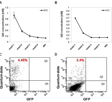 Figure 5. Flow cytometric analysis shows that QDs excluded from cells display a poor re-labelling efficiency