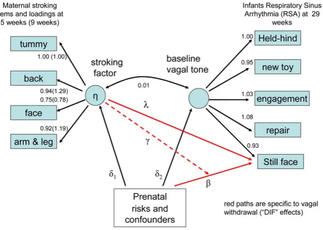 Figure 2. Latent variable model for stroking items and respiratory sinus arrhythmia (RSA) estimate of vagal tone
