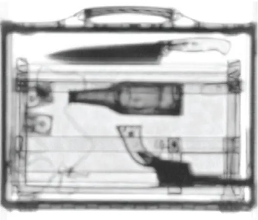 Figure. 2.15 Transmission image through an attaché case using QA-1000 THz imaging system