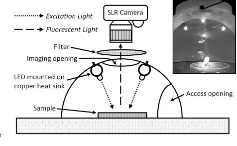 Figure 1.  Schematic diagram of the 405 nm lighting rig, comprising of three equidistant 