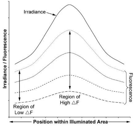 Figure 6.  A theoretical model showing differential rates of photobleaching across a sample 