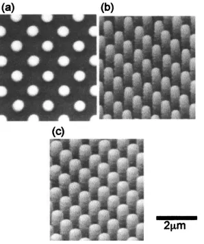 Fig. 2.3.3: Scanning electron microscopy (SEM) images of the structure fabricated by 