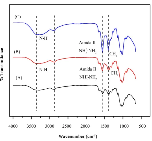 Figure 4. FT-IR chitosan 1% (p/v) solubilized in acetic acid in concentra-tions (v/v) 1% (A) 0.8% (B) and 0.5% (C)