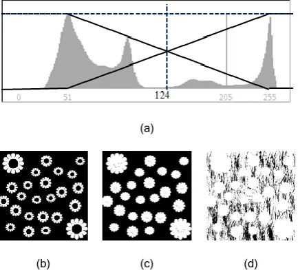 Figure 6 Applying the Fuzzy-Bimodal Thresholding Algorithm. (a) Histogram representation with fuzzy membership function, (b) traditional bimodal thresholding results, (c) applying FBT results, and (d) the common region between the object and its background 