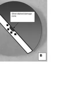 Figure 3Click here to download high resolution image