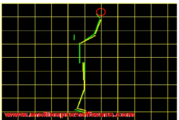 Figure 2: Segmentation shot of moment of release of ball in set-shot taken through Motion Pro  software