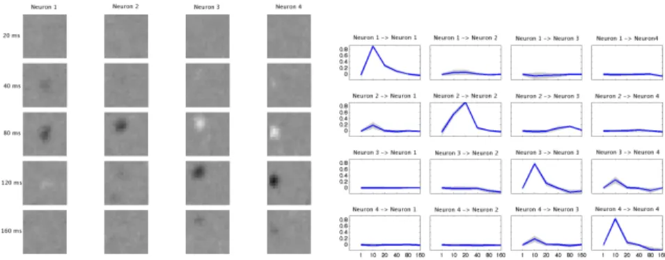 Fig. 3. Left: Stimulus dependence for the four neurons (columns) at different time lags (rows)