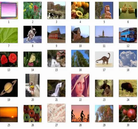 Fig 8: Samples of the test images 