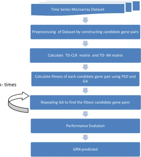 Figure 2. Gene Expression Sequences of MBP1 and CLN1 
