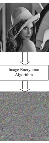Fig. 1: Image Encryption  