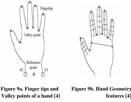 Figure 10. Result of localization of iris and pupil [4] 