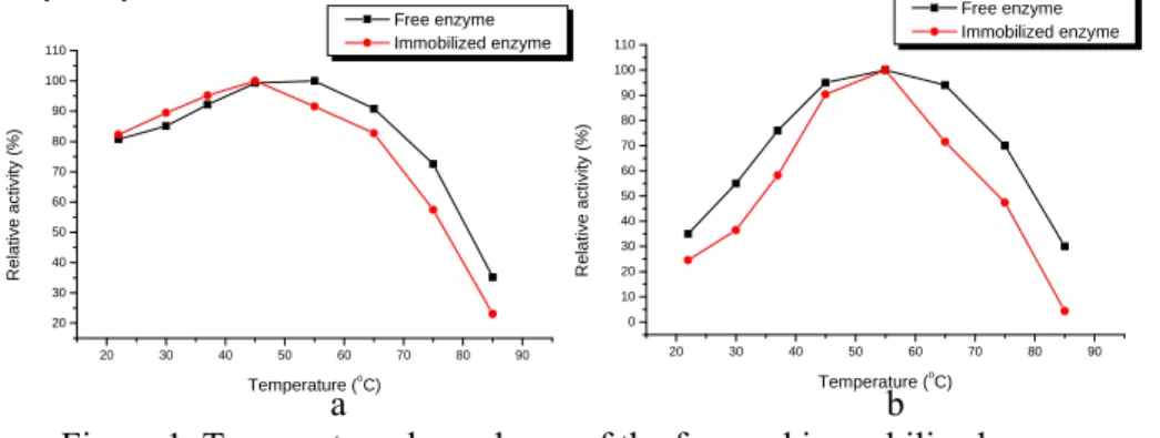Table 1.   Protein content and amylase activity of the free and immobilized enzyme 