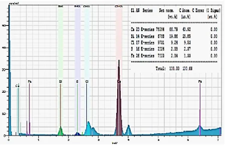 Figure 4. Brine effluent after CO2 storage. Sediments seen at the bottom.                                            