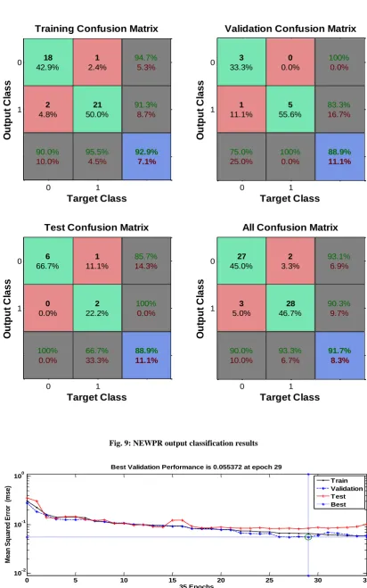 Fig. 9: NEWPR output classification results   