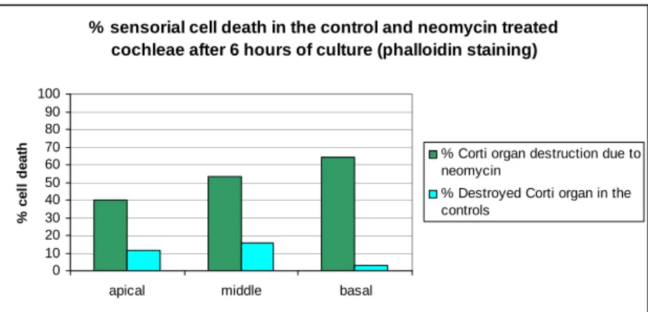 Figure 2. Neomycin induces cell death 