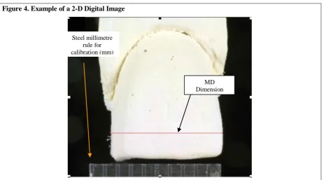 Figure 4. Example of a 2-D Digital Image  