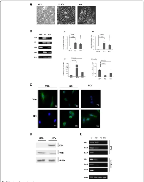 Fig. 2 (See legend on next page.)