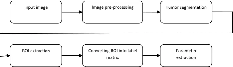Fig 2:  Flow diagram for the detection of tumor 