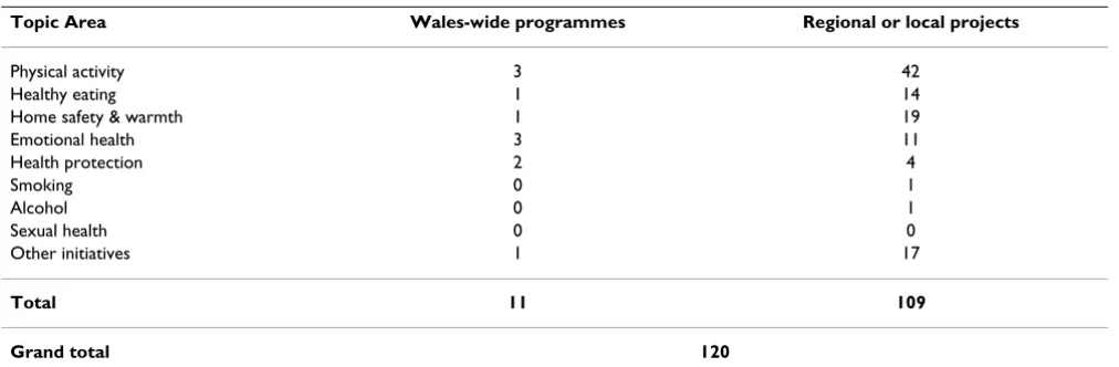 Table 2: Number of health promotion initiatives reported by topic