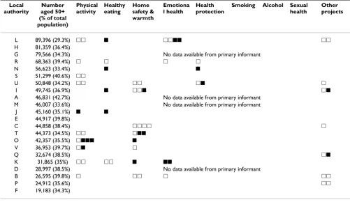 Table 4: Intensity of local health promotion provision by local authority