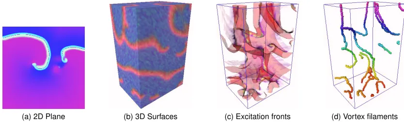 FIGURE 3: 3D Visualisation of re-entrant vortices.using third party software with simulation data produced by QUI