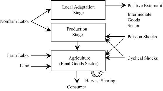 Figure 1. Market structure and production shocks in a rural economy. 
