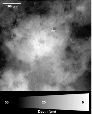 Figure 4  Surface topograph of an oral biofilm.  