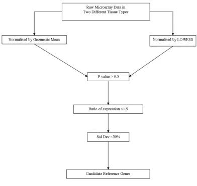 Figure 1Microarray data normalised by two different methods was filtered to identify new reference genes using statistical significance, fold changes in expression between experimental groups, the co-efficient of variation and ontological evaluation