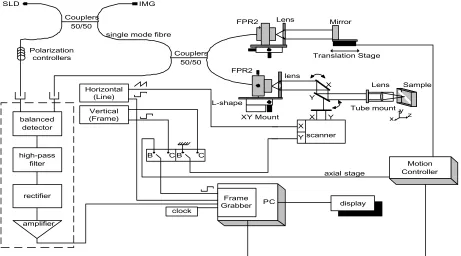 Fig. 1. Optical coherence tomography system architecture.SLD = superluminescent diode, IMG = index matching gel.