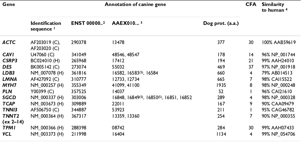 Table 1: Assignment, genomic location and the degree of sequence conservation compared to human of the canine DCM candidate genes.