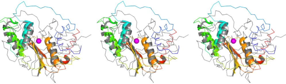 Figure 1Stereo structural superposition of the nuclease(-like) domains of RecB and RecC produced with LSQMAN [29]Stereo structural superposition of the nuclease(-like) domains of RecB and RecC produced with LSQMAN [29]