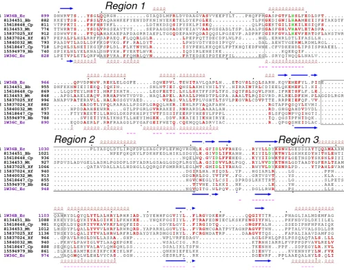 Figure 3Structure-based sequence alignment of the nuclease(-like) domains of RecB and RecClining indicates zones that can be simultaneously structurally aligned (rms deviation of 2.19Å for 71 CRecC nuclease-like domain to its new function, as discussed in 